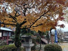 -医王山·飞騨国分寺