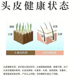 -Bollins波林丝•专研护发中心