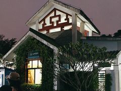 -王借岗森林公园