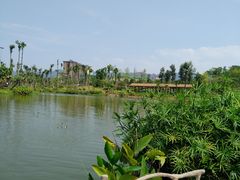 -枫香湖儿童公园