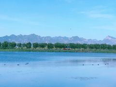 景点-野鸭湖国家湿地公园