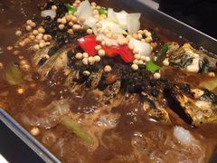 -鱼酷活鱼烤鱼(张江长泰店)