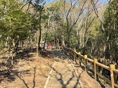 -上海佘山国家森林公园天马山园