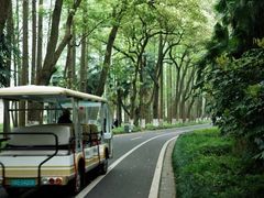-采石矶景区