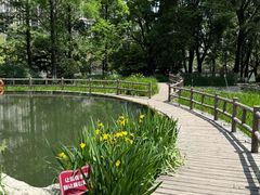 -成都市活水公园