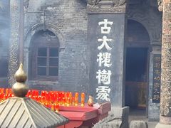 -大槐树寻根祭祖园