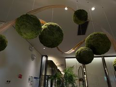 -点心传说·粤菜点心(佐阾虹湾店)