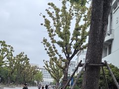 -上海大学(宝山校区)