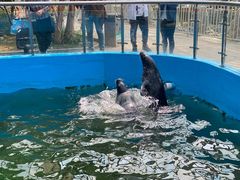 -石家庄市动物园