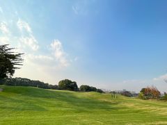 -银涛高尔夫练习场(徐泾店)