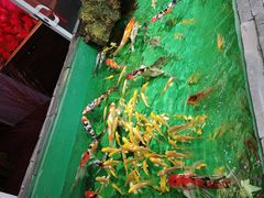 -梅陇花鸟市场-停车场