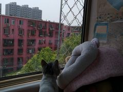 -美联众合动物医院·24h京西诊疗中心