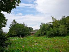 -贵阳市花溪国家城市湿地公园