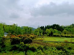-雅安上里古镇