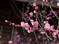 -宁波市保国寺古建筑博物馆