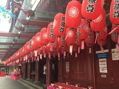 -新加坡佛牙寺龙华院