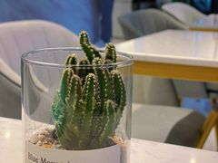 -Fridi Patisserie Cafe