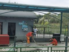 -中国扬子鳄村