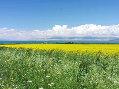 -青海湖国家重点风景名胜区