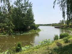 -东郊湿地公园