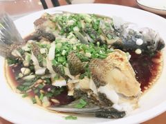 -全乐鱼馆·淳牌有机鱼直营店