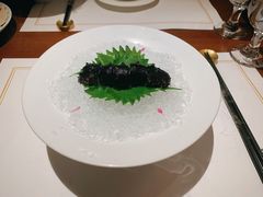 -觀芷隐轩