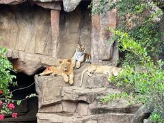 -长鹿旅游休博园