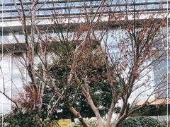 -百新书局(尚悦湾店)