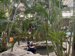 -龙达温泉生态城