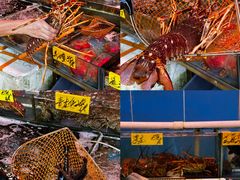 -四海之家(蛇口店)
