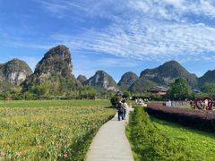 -靖西鹅泉风景区