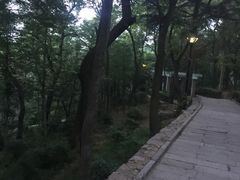 -观象山公园