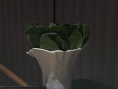 有机菠菜-南门四季铜锅涮肉(大屯·北苑店)