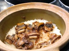 -红星光发煲仔饭(文海店)
