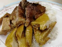 咸水鸭饭-文昌鸡饭店(金鸡岭小学店)