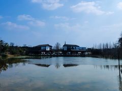 -白鹭湾湿地公园