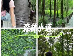 -桤木河湿地公园