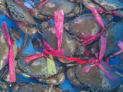 奄仔蟹-新庆嫂渔港