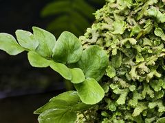 -上海植物园-4号门售票处