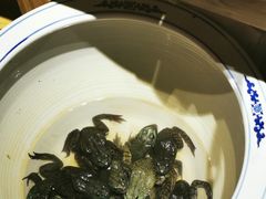 -鸽子窝(黄村店)
