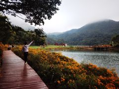 -广州市石门国家森林公园