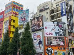 -秋叶原电器街