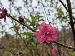-水濂山森林公园