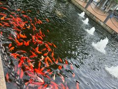 -长阳创谷