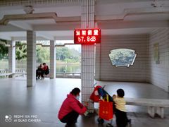 -晓港公园