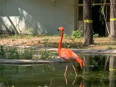 -石家庄市动物园