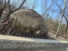 -白水寺森林公园