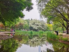 -泰丰公园