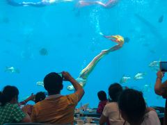 -瑞德姆美人鱼海底演艺主题餐厅(亚龙湾店)
