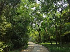 -采石矶景区